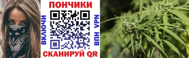 Бошки марихуана сатива  Бор 